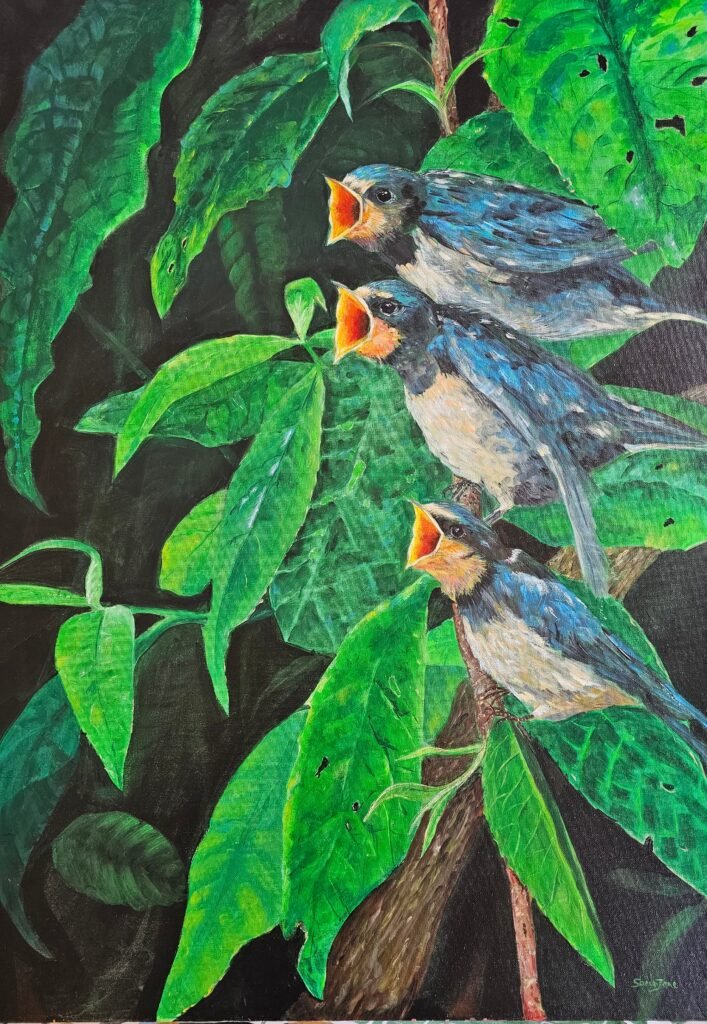 Pecking order